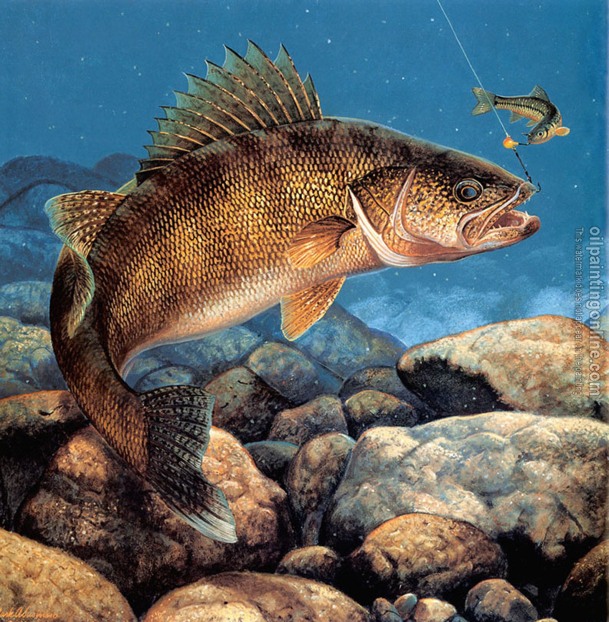 Mark Susinno - Stinger-Hooked Walleye - Canvas Painting For Sale